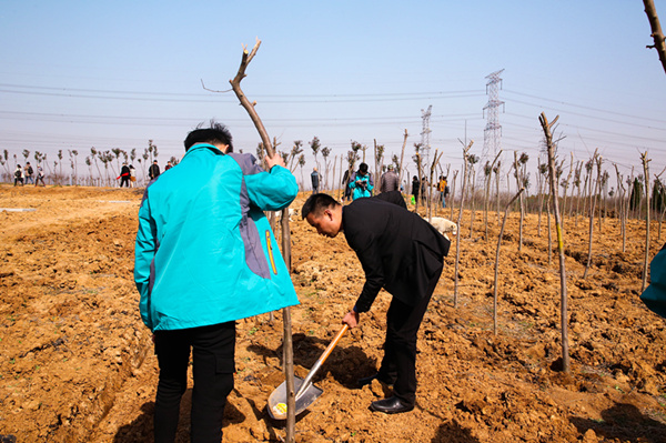 “攜手植樹(shù)，共創(chuàng)藍(lán)天”丨南京新華師生共筑新華育才林