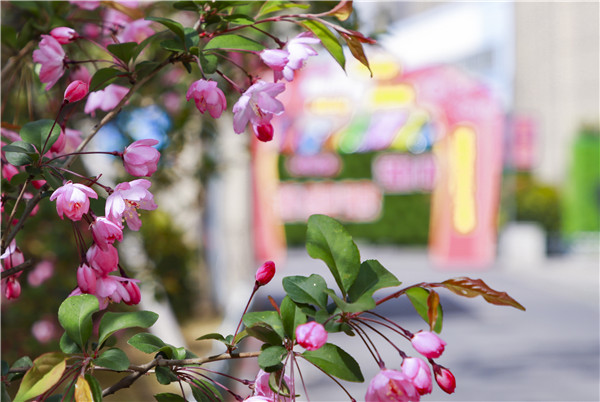 春暖花開，等你歸來——邀你云賞南新春景，以慰思念